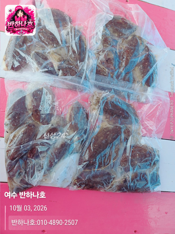 20261003_130544_제목-여수 반하나호_반하나호-010-4890-2507.jpg