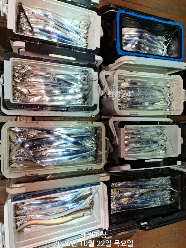 1000038842.jpg
