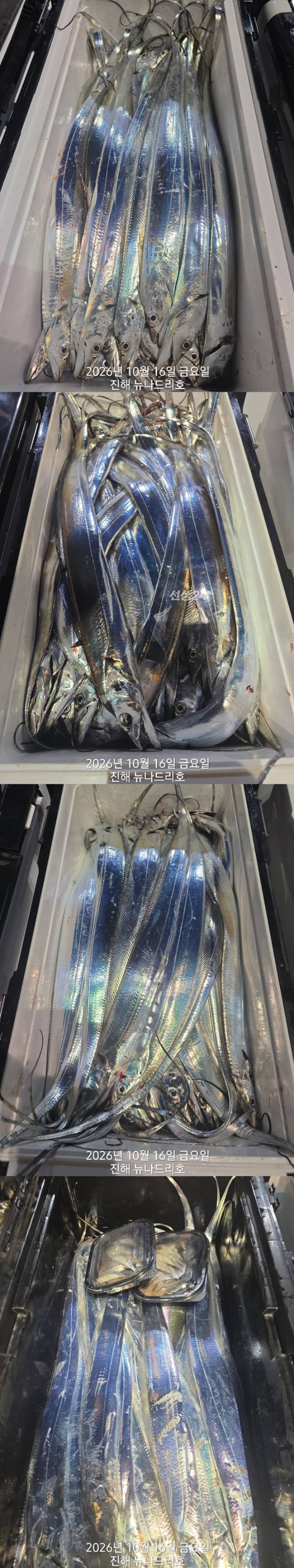 낱2.jpg