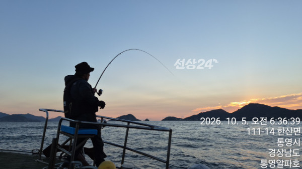 61838.jpg