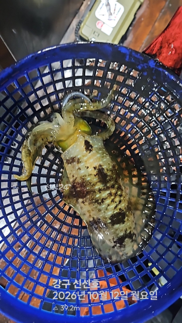 신신낚시 강구점 신신호_사진_20261013_3.jpg