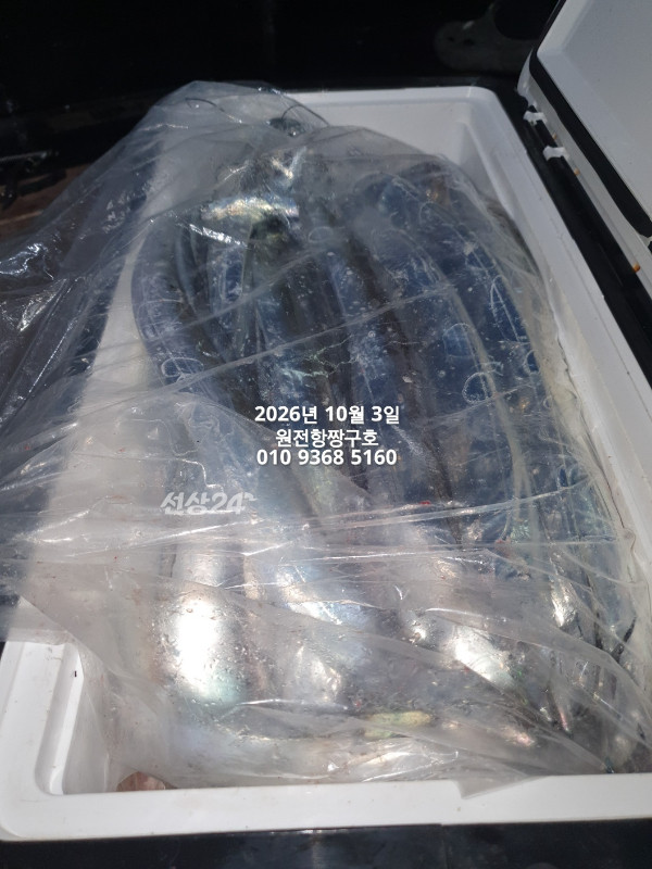 KakaoTalk_20261003_143802702.jpg