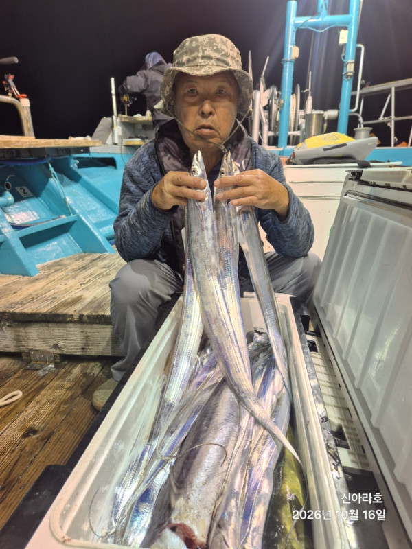 신아라호 한치 칼치 오징어_사진_20261016_4.jpg