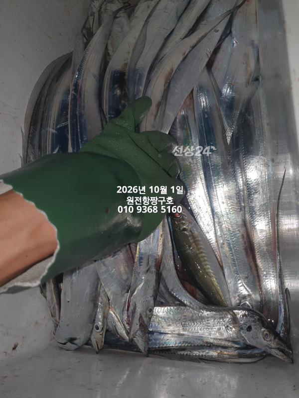 KakaoTalk_20261001_132603487_09.jpg