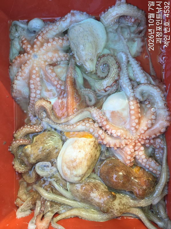 KakaoTalk_20261007_145550498_09.jpg