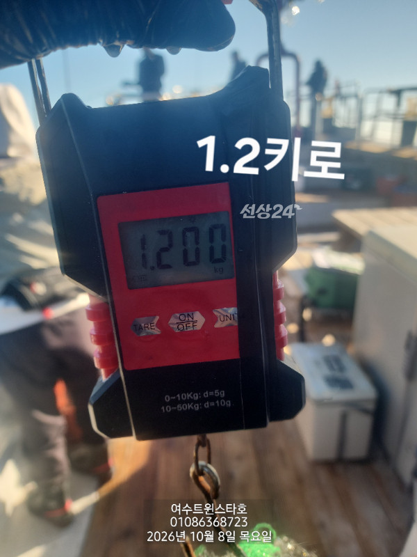 1000202654.jpg