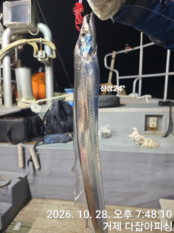 1793225737855.jpg