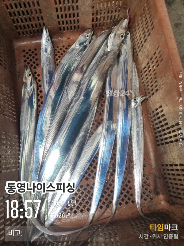 20261015_185701_글꼴-통영나이스피싱.jpg