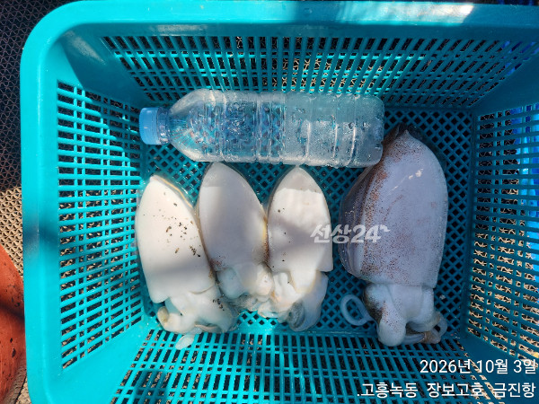1000054307.jpg