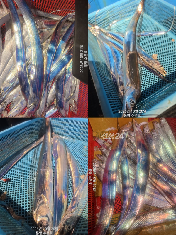 1792536696262-tile.jpg