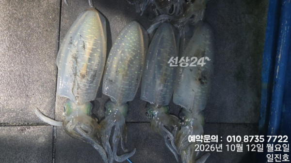 일진호_사진_20261012_2.jpg