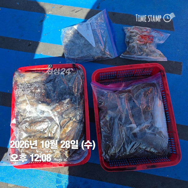 KakaoTalk_20261028_174415416_03.jpg