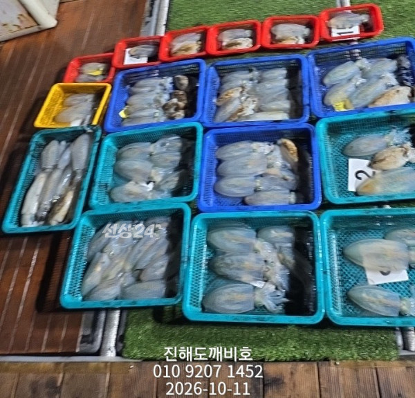 9162.jpg