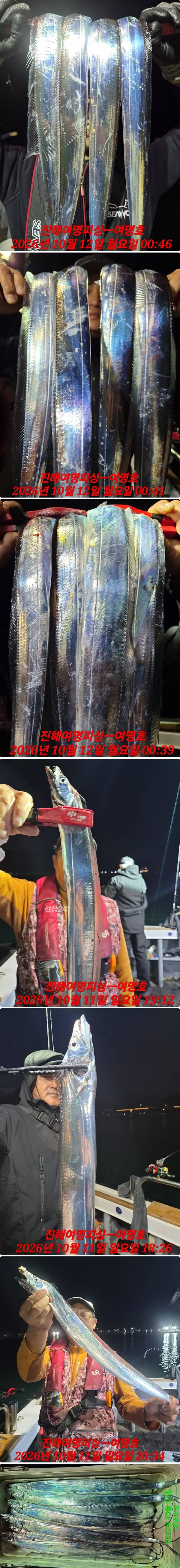 12일갈치중.jpg