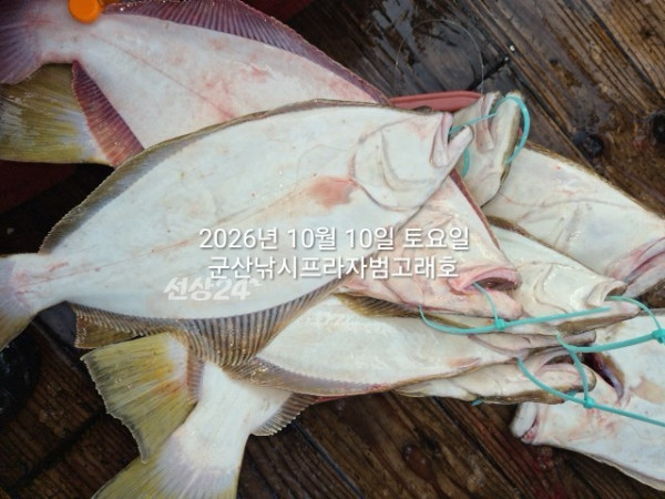 KakaoTalk_20261010_171909981_02.jpg