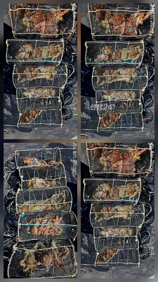 1000160838.jpg