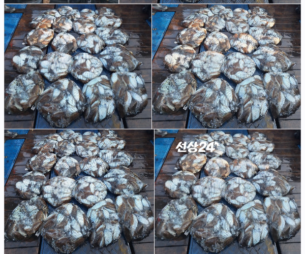 1000086251.jpg