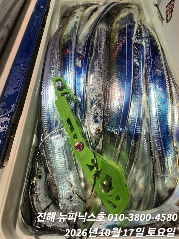 1000101445.jpg