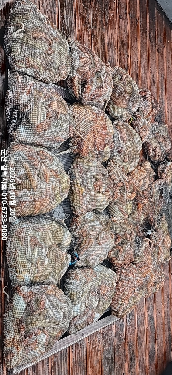 KakaoTalk_20261020_222255277.jpg