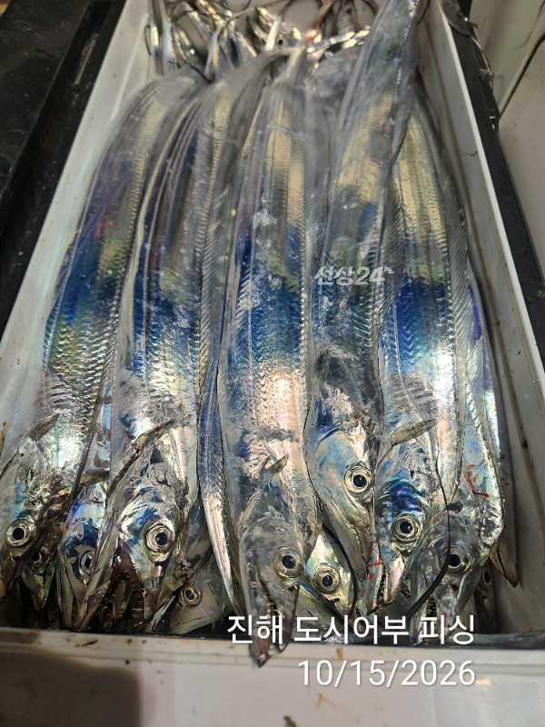 KakaoTalk_20261015_050642444_18.jpg