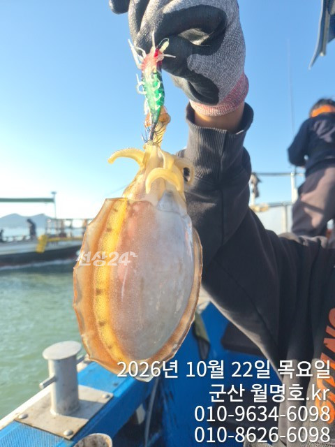 20141.jpg