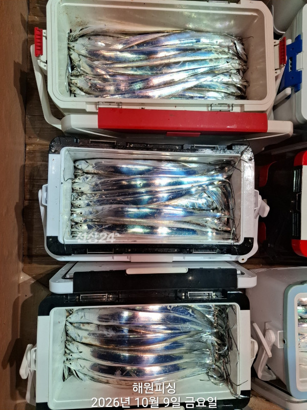 1000037249.jpg