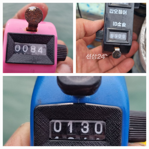 1000011708.jpg