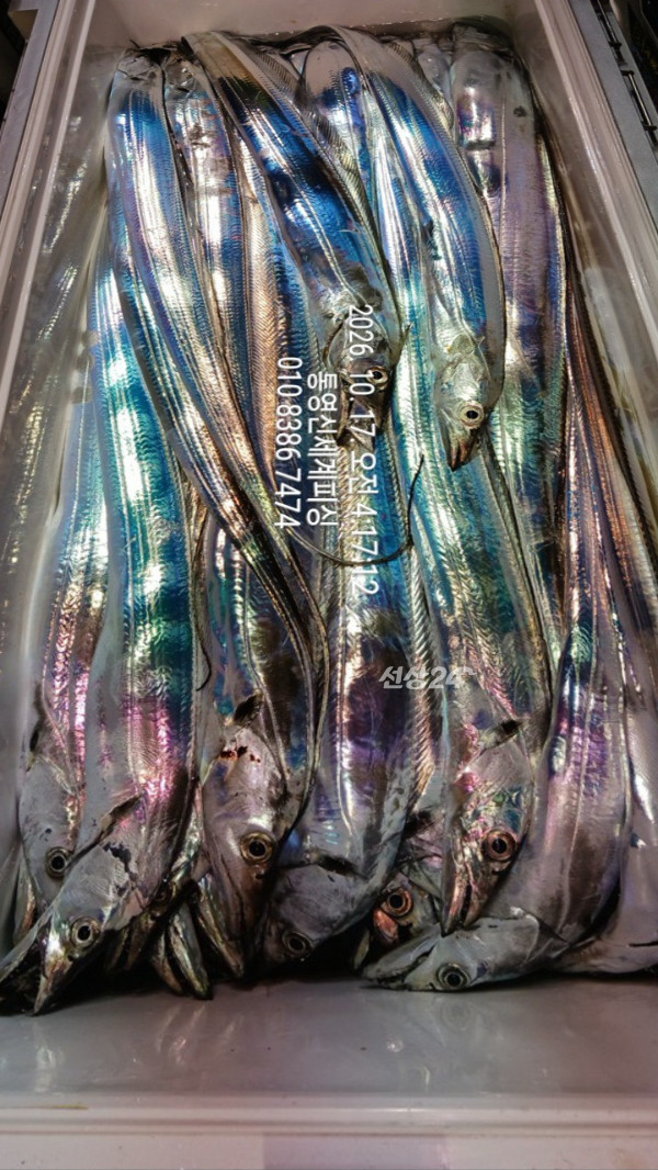 1792185550145.jpg