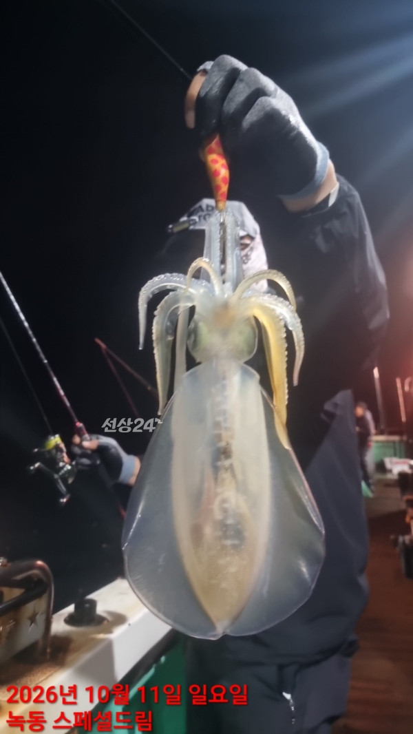 쎄븐피싱클럽(선상 버스출조전문)_사진_20261013_24.jpg