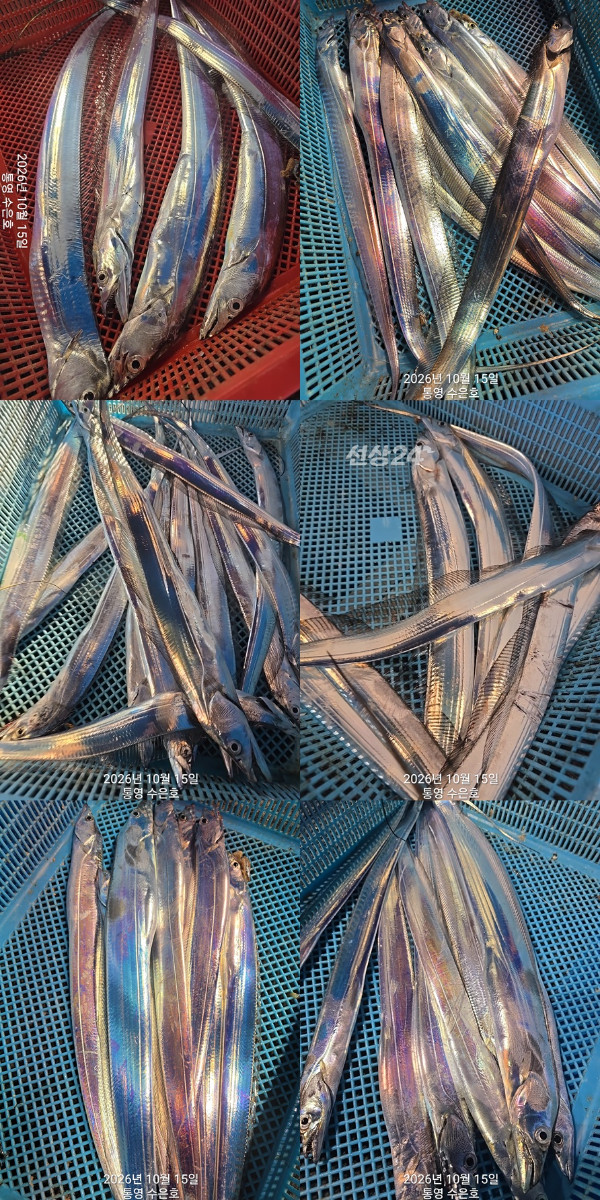 1792098294989-tile.jpg