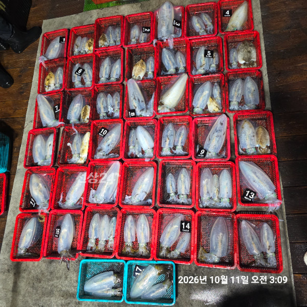 1000120602.jpg