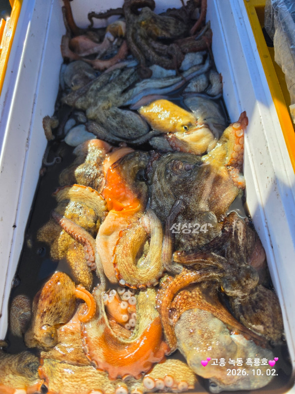 49728.jpg