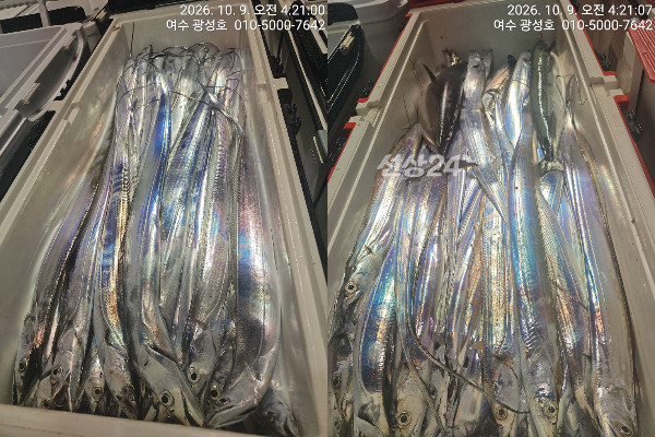 이미지.jpeg