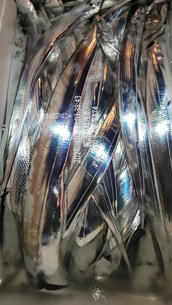 1791665909302.jpg