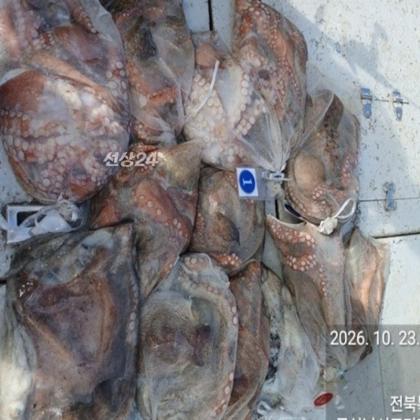 [크기변환]KakaoTalk_20261023_145143355.jpg