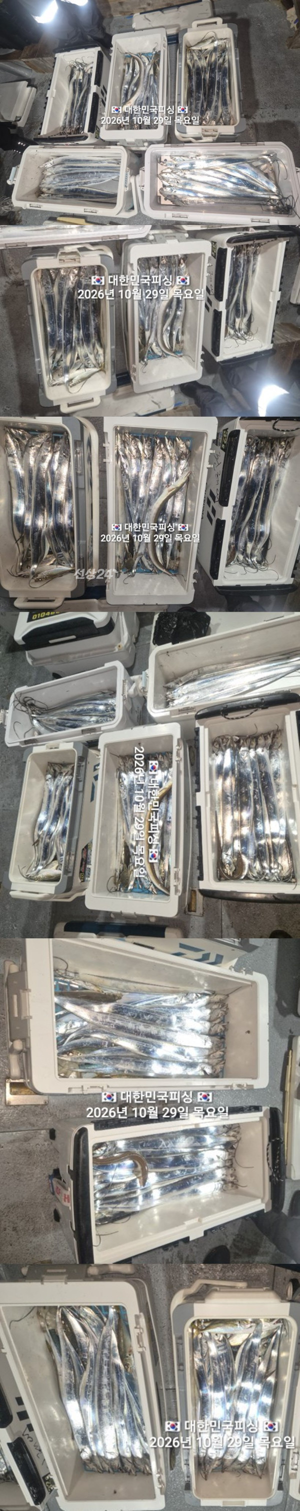 갈치2.jpg