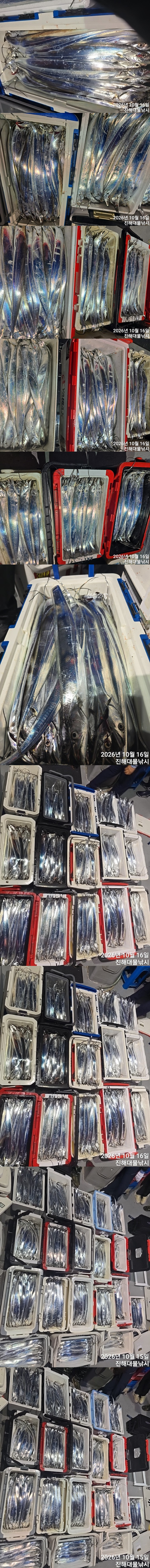 칼치5.jpg