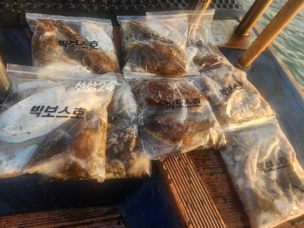KakaoTalk_20261016_202529580_05.jpg