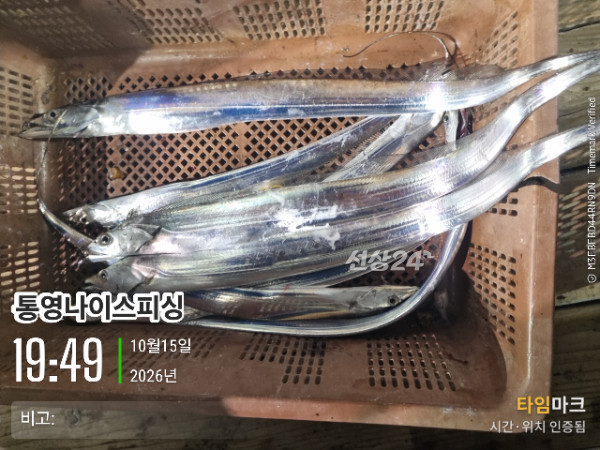 20261015_194903_글꼴-통영나이스피싱.jpg