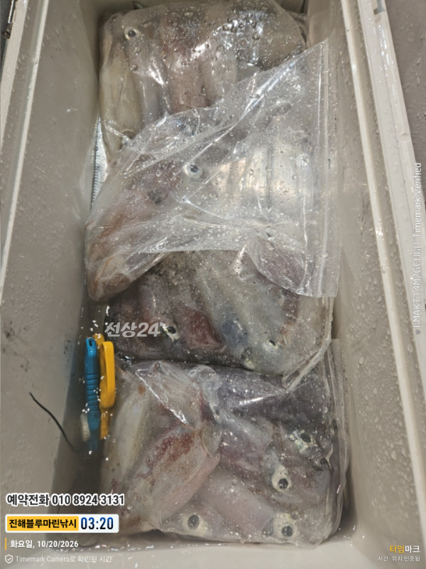 20261020_032034_제목-진해블루마린낚시_글꼴-예약전화 010 8924 3131.jpg