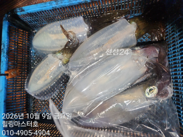 KakaoTalk_20261009_032626345_10.jpg