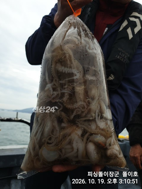 IMG_20261019_151051.jpg