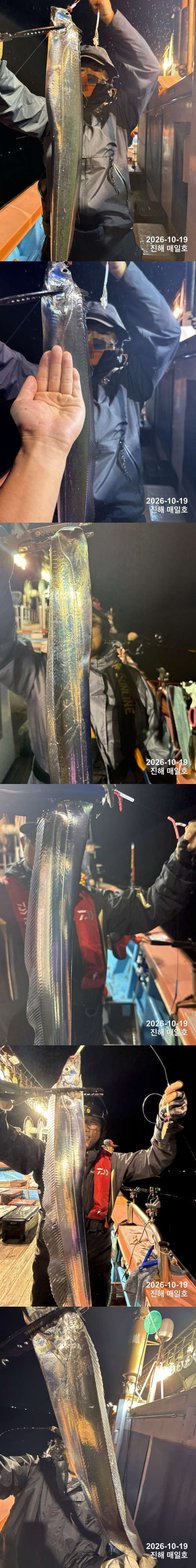 갈치2.jpg