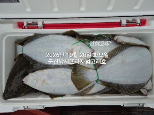 KakaoTalk_20261020_152311870_06.jpg