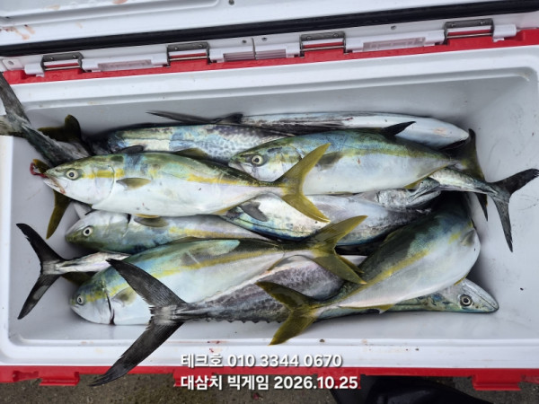 KakaoTalk_20261025_172206683_13.jpg