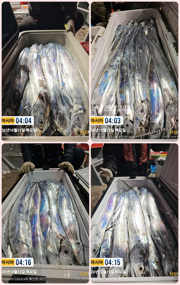 KakaoTalk_20261015_061744949-tile.jpg