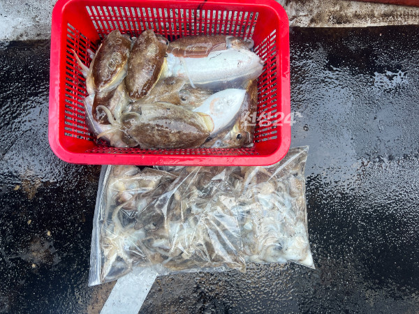 KakaoTalk_20261016_174231077_14.jpg