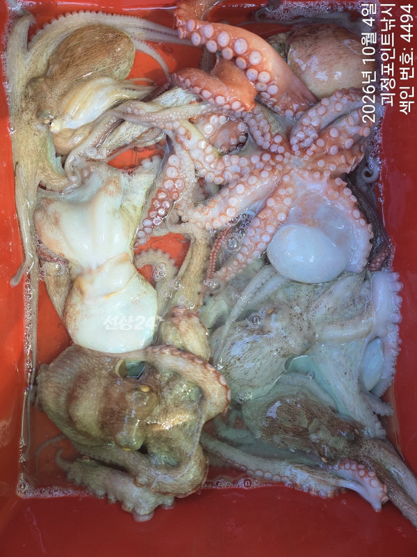 KakaoTalk_20261004_150024802_07.jpg