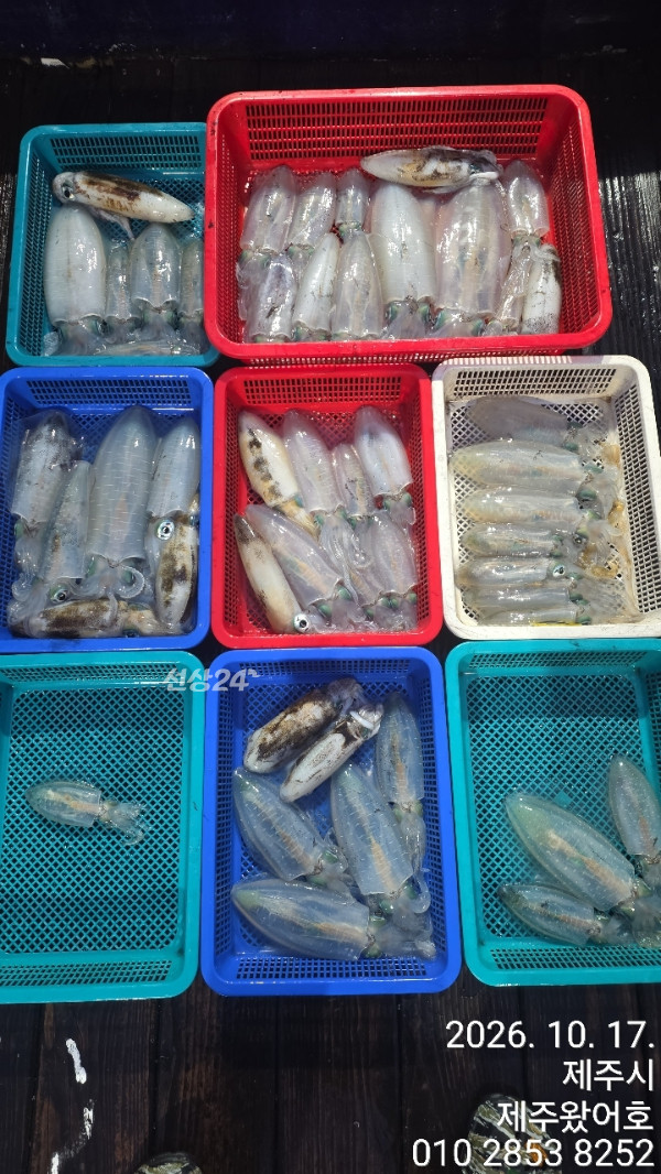 제주왔어호_사진_20261018_1.jpg