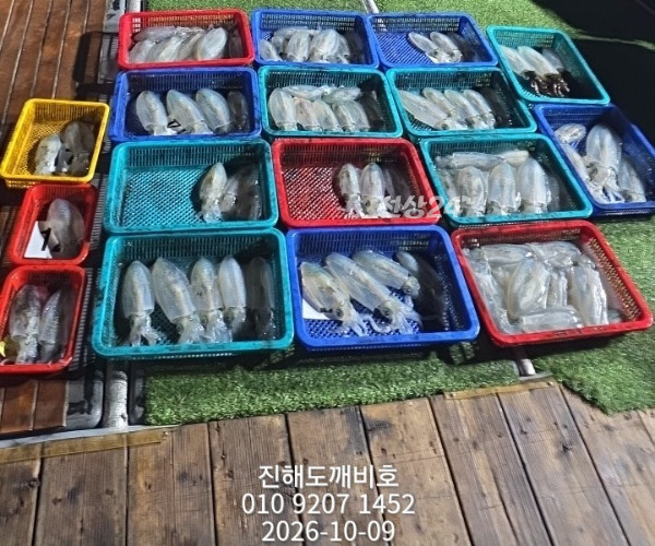 9060.jpg